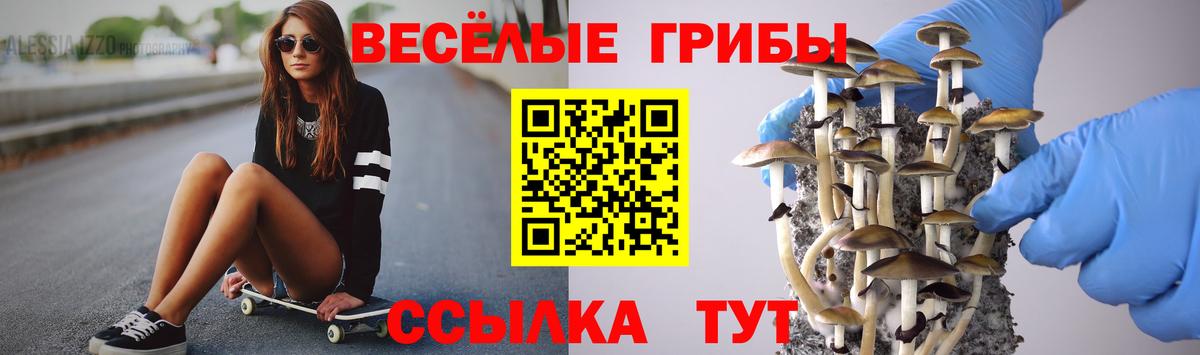 Лесосибирск  Псилоцибиновые грибы мухоморы  Вход с VPN  Галлюциногенные грибы мицелий 