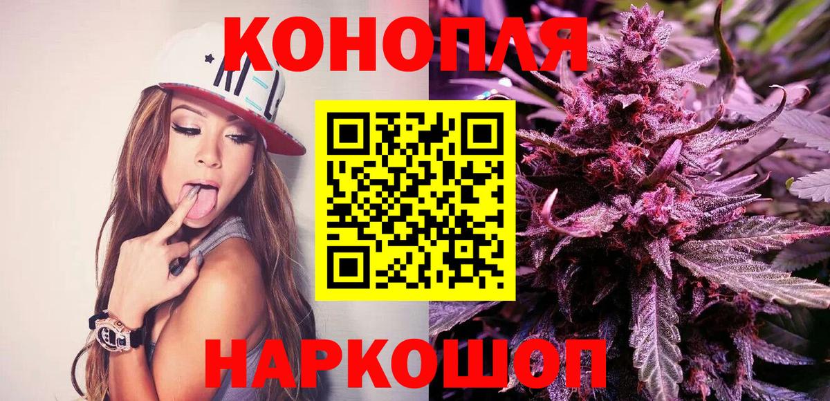 Бошки марихуана OG Kush Лесосибирск